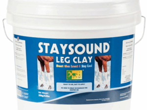 staysound-leg-clay